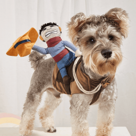 Cowboy Rider Pet Costume, Funny Dog Costume For Small and Medium Dogs and Puppies - Pet Clothes (Color: Mixed Color, size: S)